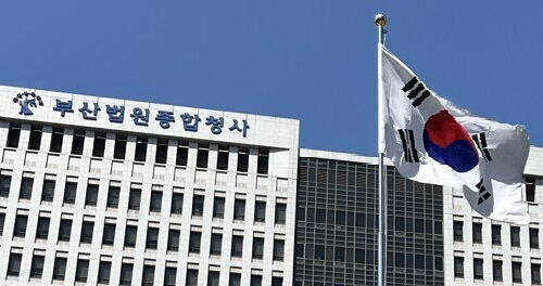 사진 이미지