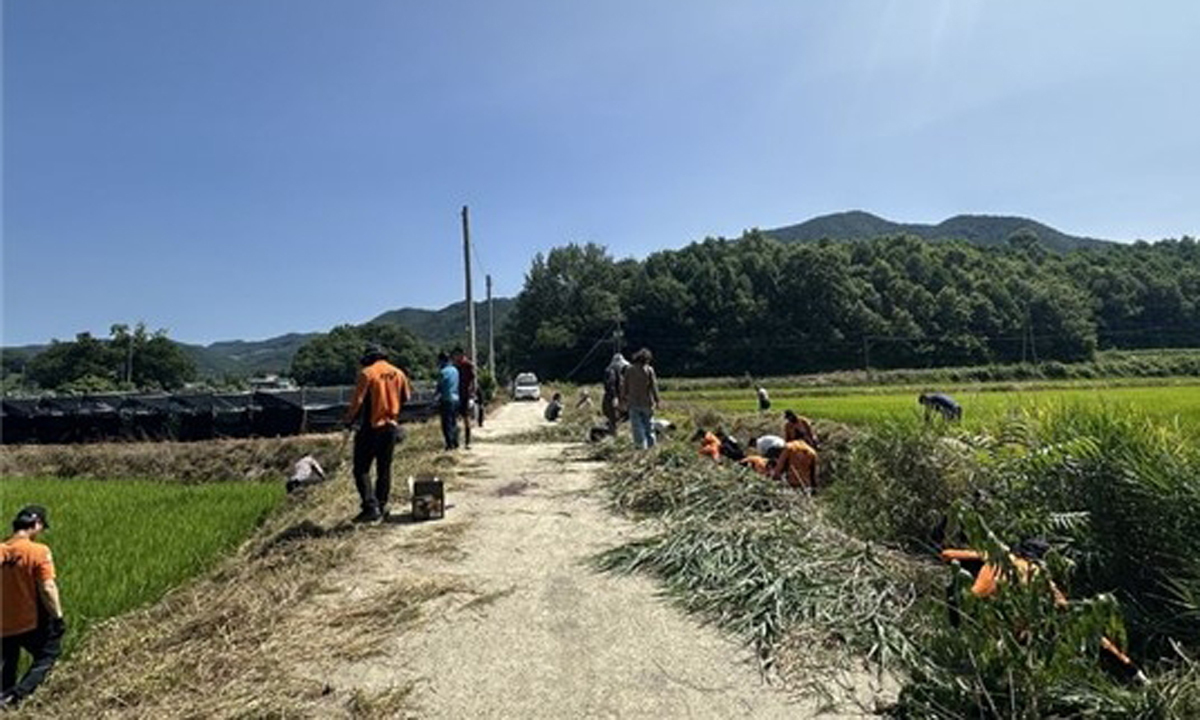 사진 이미지
